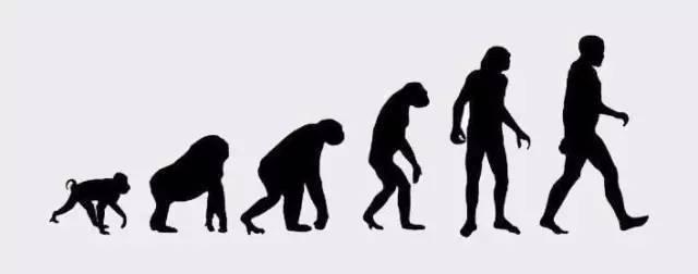 原始人进化图片，人类进化全过程证据