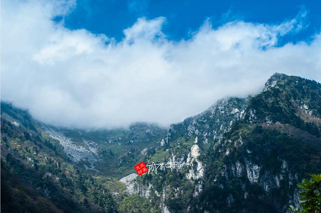 低山区特色是水，鸡笼山特点（牛背梁：低山区特色是水）