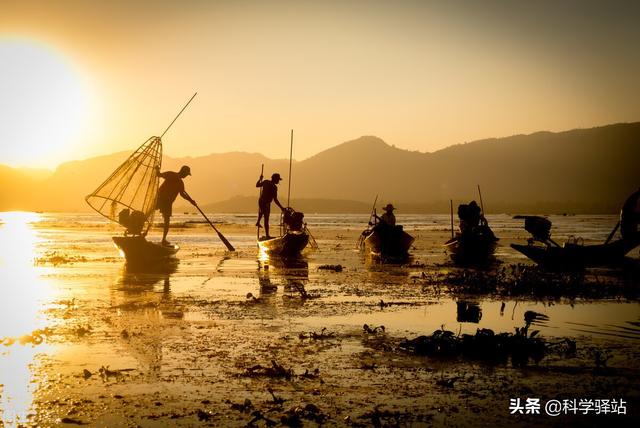 海星到底能吃不，你可别在这种地方买海星