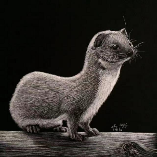 刮刮画作品大赏，刮画被他玩到极致