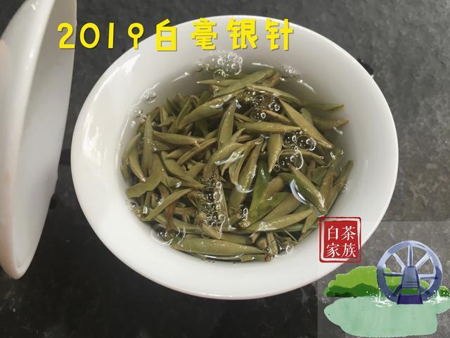 白茶适合什么季节喝，白茶适合哪些季节喝