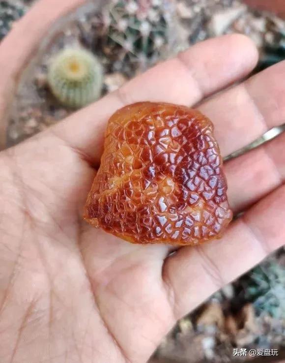 蜜蜡认主人的表现，蜜蜡的基本认识（蜜蜡佩戴有什么样的规则呢）