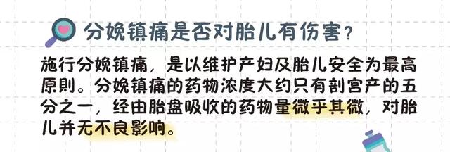 猫的生育常识和技巧，最全的入门级生育指南