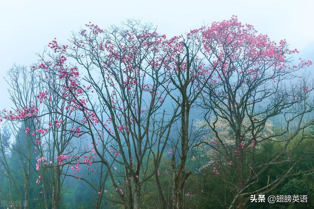 英语丢失名词，英语丢失的表达法解析