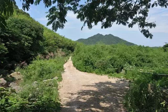 宁波有几个古道可以爬山的，宁波这11条登山健身步道你走过吗