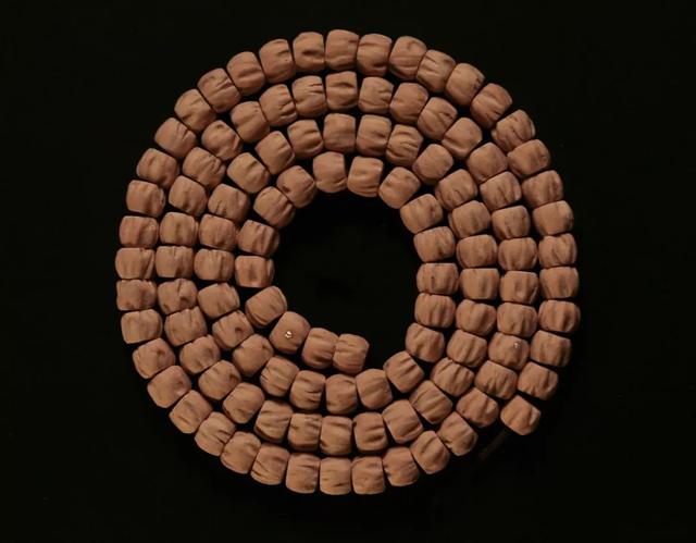 比较容易找到的树籽，不温不火的树籽