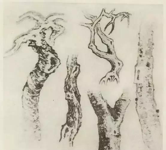 树怎么画简单又好看，如何画树简单又漂亮（水彩唯美风景画，手把手教你画）