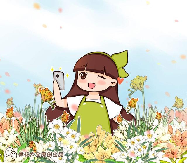 室内适合养的香花，养在家里味道清新
