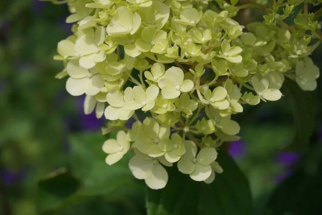 北京必玩景点排名，北京必玩的十个景点排名榜单（北京最值得去的12个景区）