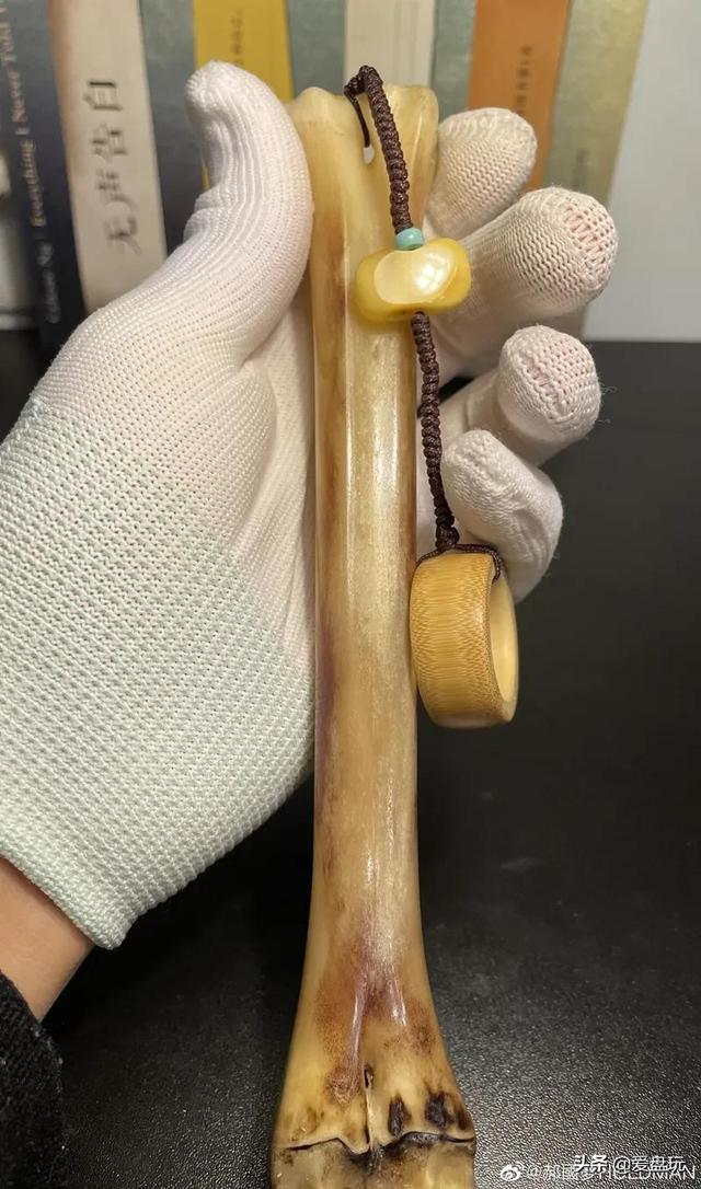 长白山挖人参遵循古法，长白山采挖野山参民间习俗