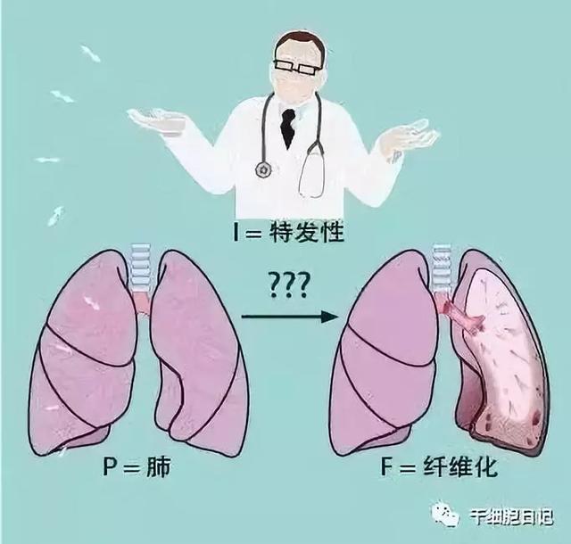 肺泡表面张力在呼吸过程中的变化，游泳运动呼吸全面解析