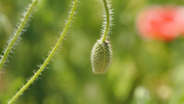 奥林巴斯em1，奥林巴斯em1mark3测评