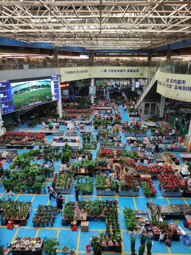 昆明最大的鲜花市场叫什么名字，昆明最受欢迎的2大花市