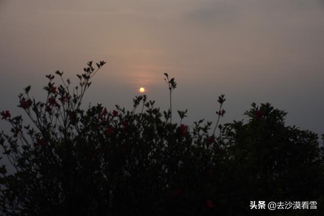 深圳梧桐小镇露营，可以带她在深圳这样玩