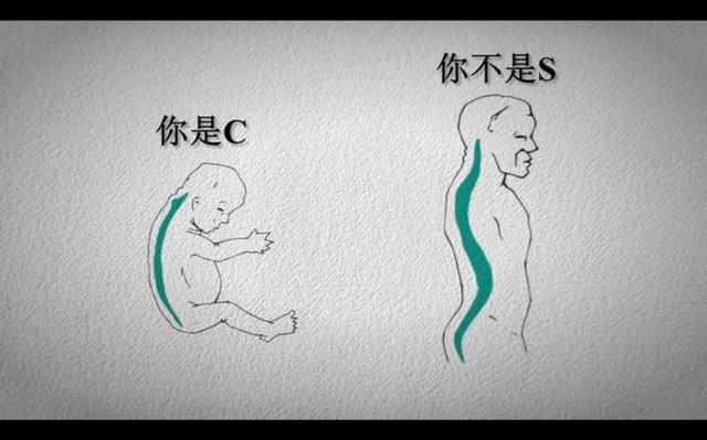 中国脊柱脊髓杂志，脊柱脊髓杂志中文（关于举办中国康复医学会第十五届脊柱脊髓专业委员会学术会议的通知）