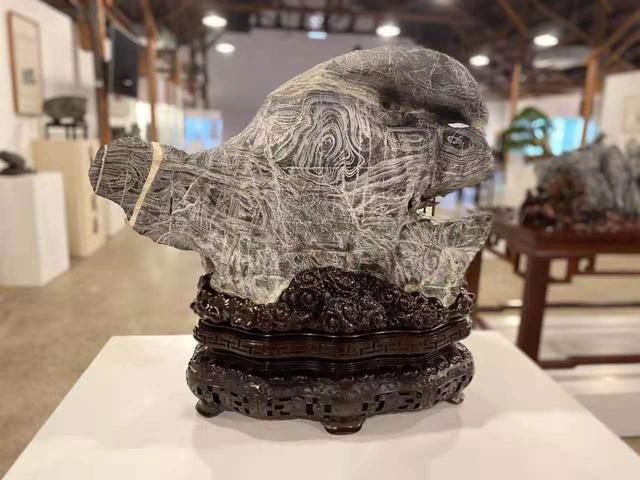 乌石是什么石头，乌石有甲纹石