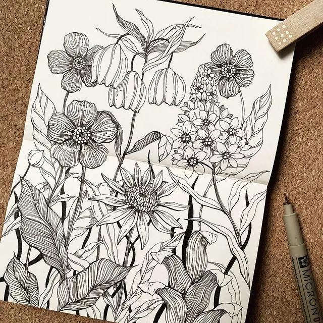 妙笔生花水墨画教程，教科书级别的植物线描