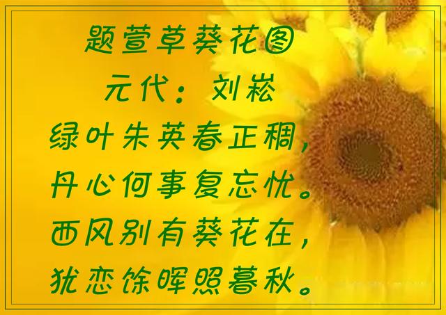 傲阳的诗句大全，倾阳丹心独自在