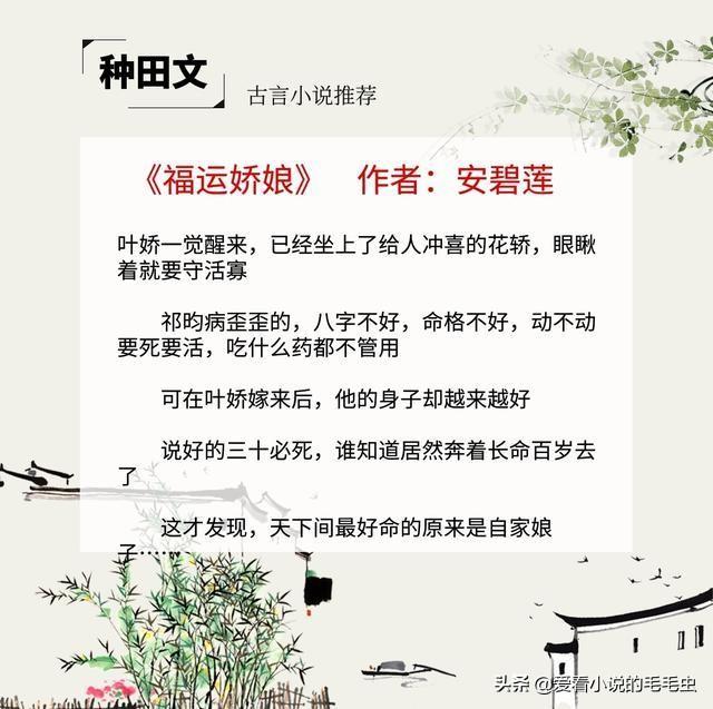 古言女主有福气的种田文，看女主怎样凭借双手发家致富