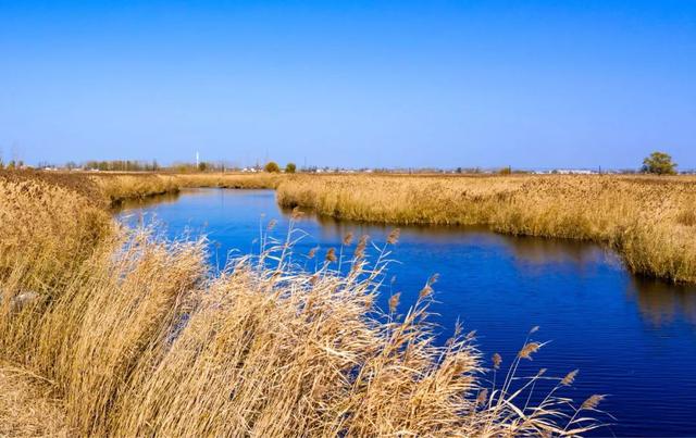 白洋淀冬天的生活，只有60来岁的人才会做……