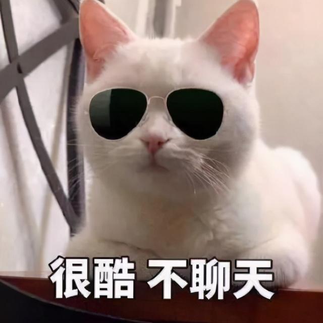 可爱又有一点真实细节的猫咪，这几种猫咪可爱又甜美