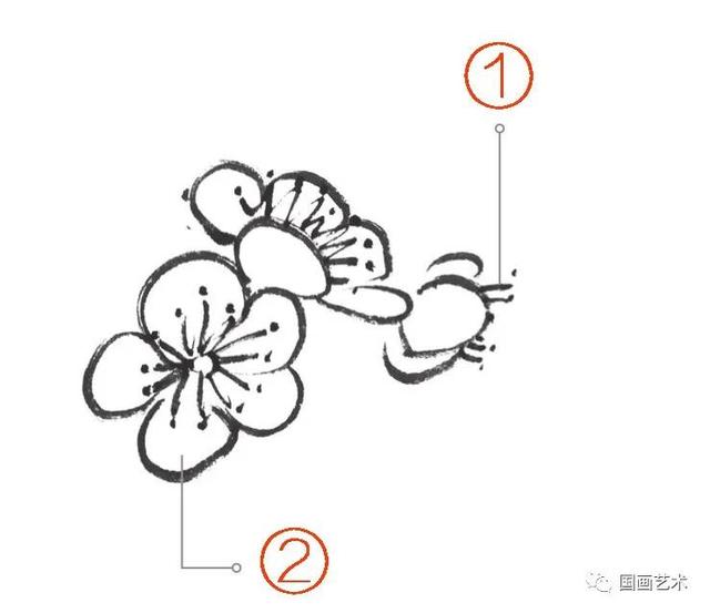 王成喜写意梅花的画法教程，图文教程白梅红梅