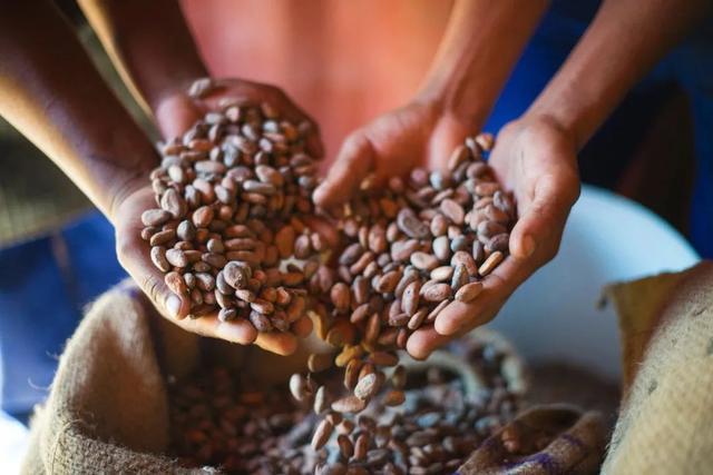 超级好喝的热巧克力，今天喝什么？热可可