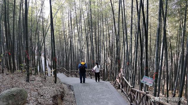 河南十大怪石山，河南八大人气最高的山峰