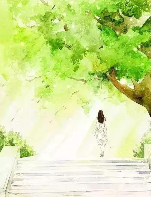野草闲花逢春生，享受独处眼里有风景茶中无是非（野草闲花逢春生）