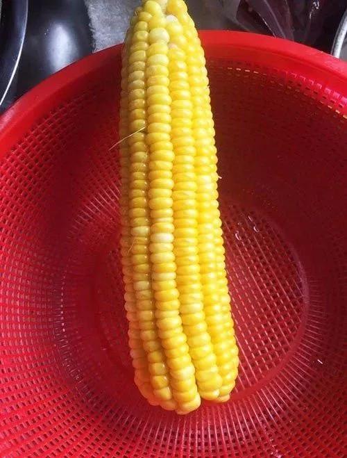 黄金玉米粒做法，黄金玉米粒怎么做最好吃（这才是黄金玉米烙最硬核的做法）