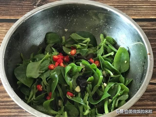 凉拌田七菜的做法，饭店的名菜凉拌田七为什么好吃（凉拌田七菜正宗做法）