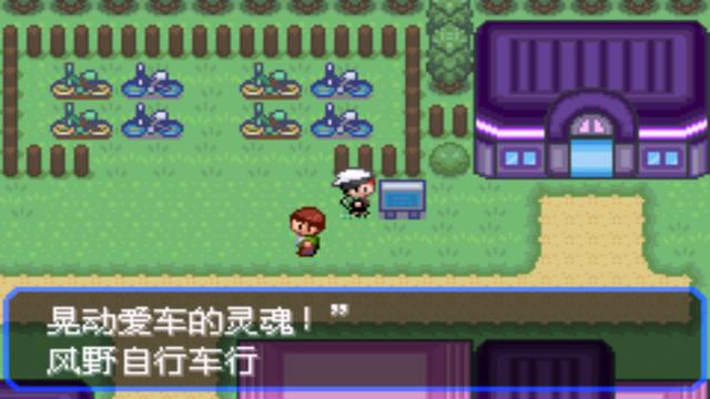 口袋妖怪究极绿宝石攻略，口袋妖怪究极绿宝石4图文攻略（攻略所使用的PM编号均为全国图鉴的编号）