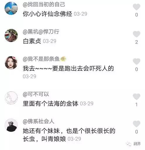 世界所有的蛇到底是什么样子呢，人类眼中的蛇是这样的