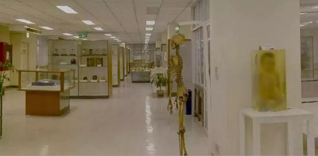日本人做干尸博物馆，收藏着头盖骨制作的法器和新疆千年干尸