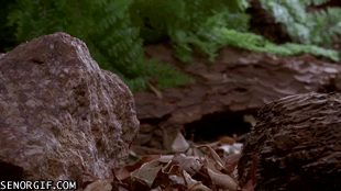 缩时风光摄影作品，大开眼界的16个缩时摄影