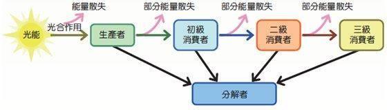 十大史前海洋巨怪，盘点史前海洋十大巨兽