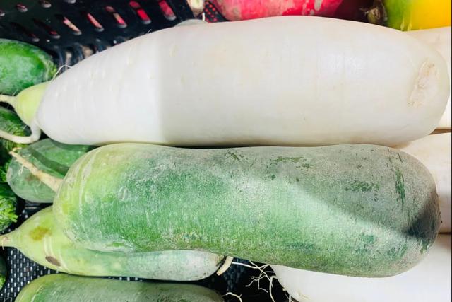 白萝卜选购技巧，白萝卜批发价格多少钱一斤