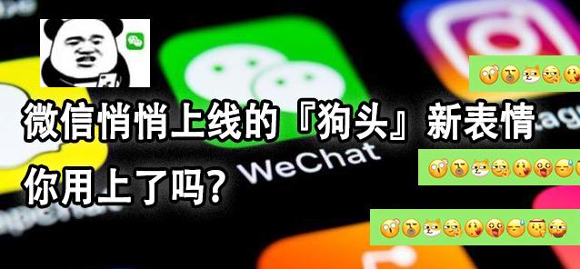 微信狗头表情包，微信怎么弄狗头表情包