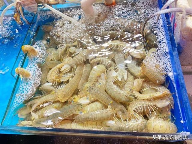 厦门海鲜大市场，厦门海鲜市场有几家（开海后的厦门海鲜市场）