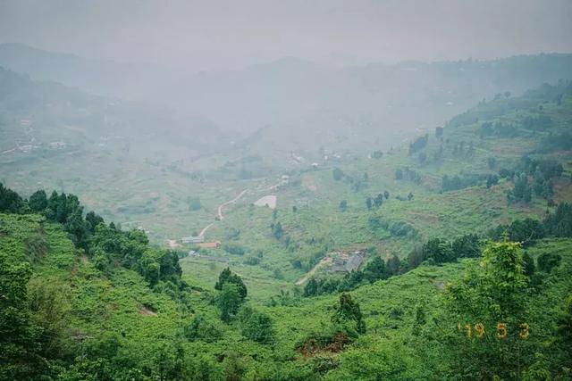 成都旅游比较凉快的避暑景点，藏在成都周边的4大冷门避暑地