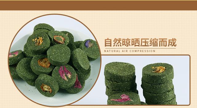 龙猫宠物饲养指南，龙猫饲养