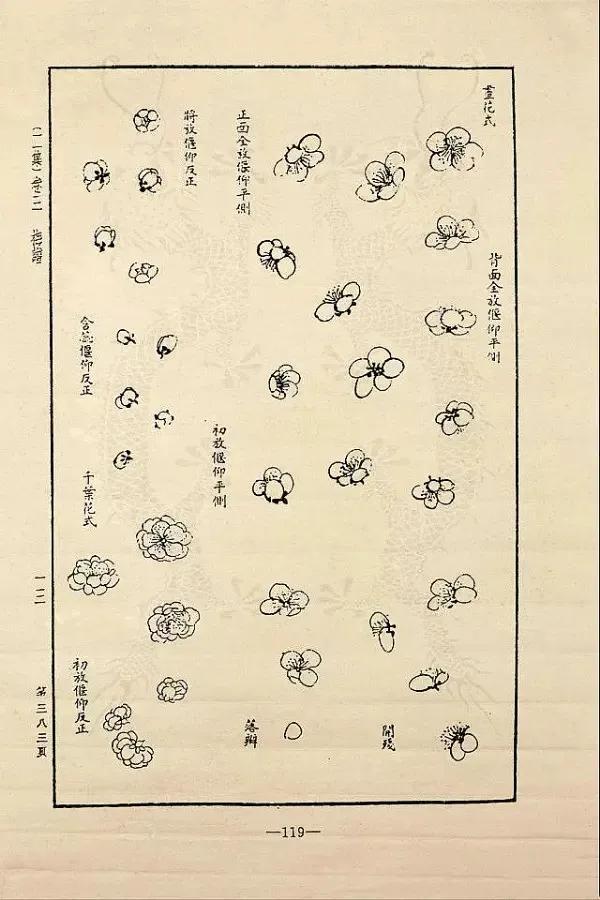 写意梅花100种画法，构图一百例，学完够用了