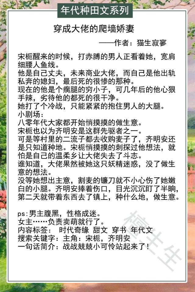 超好看的年代种田文，身娇体弱的文化人VS大力士女汉子