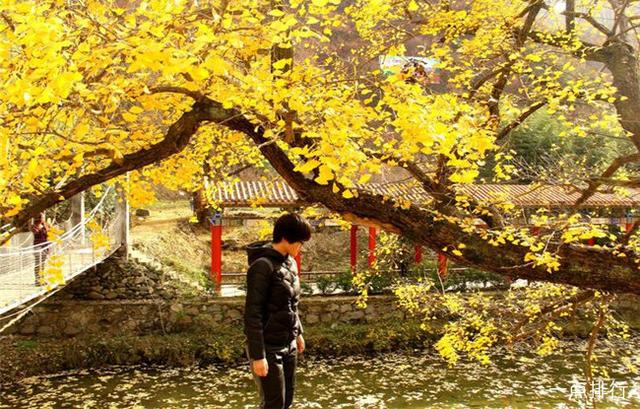 南阳七十二潭旅游攻略，南阳十大著名旅游景点