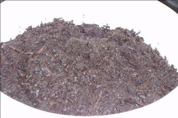 67种有毒多肉，这些多肉谨慎买