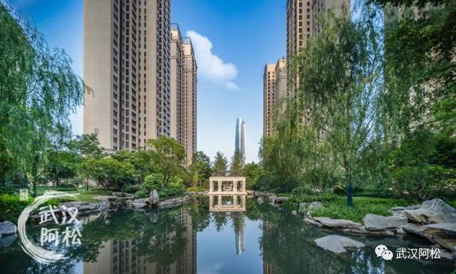 公建化外立面施工需要搭架子吗，公建化外立面是个什么东西