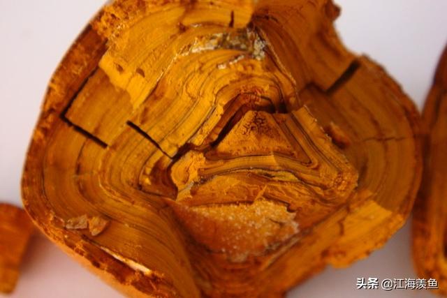 牛最早出现在什么时期，牛长期作为农耕社会的重要生产力