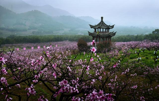 桃花源记描绘桃花林绝美的景色，人间四月芳菲尽