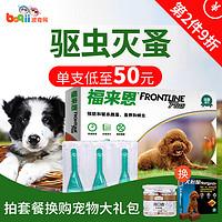 可爱的柯基怎么养成的，一步到位教你养好柯基狗