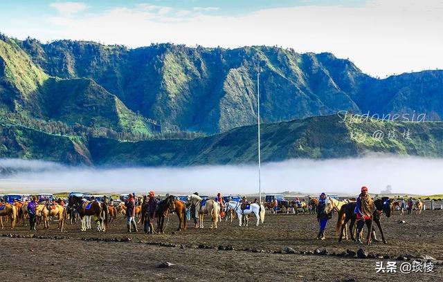 世界上的主要火山带分布在哪里，在全球四大火山带之一